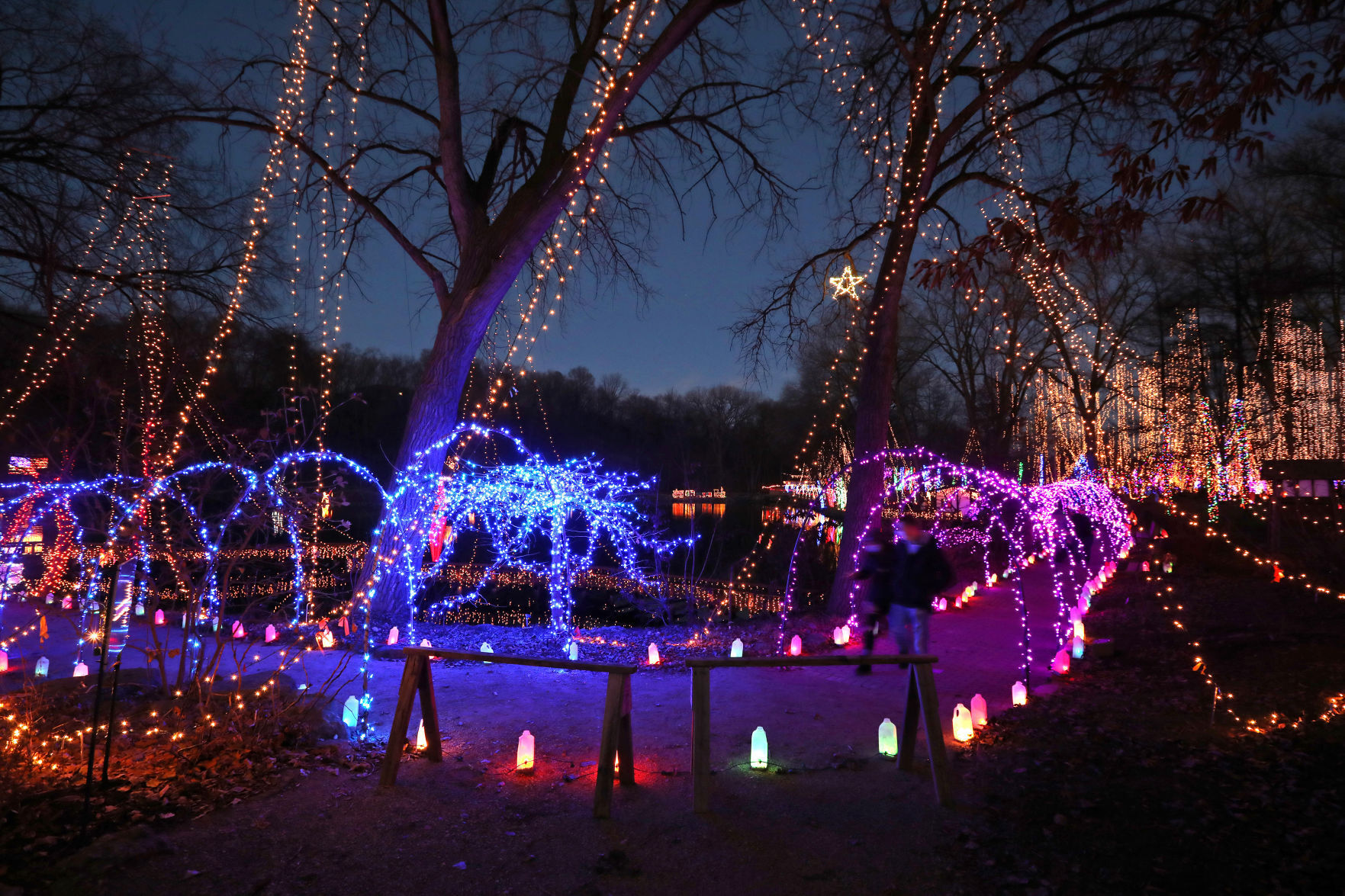 Rotary Botanical Gardens Holiday Light Show